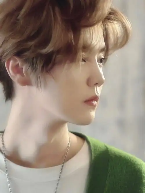 说一下你们认识的鹿晗吧