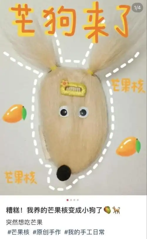 芒果核会变成小狗别上发卡,扎起耳朵还真是什么都能做啊大家纷纷晒出