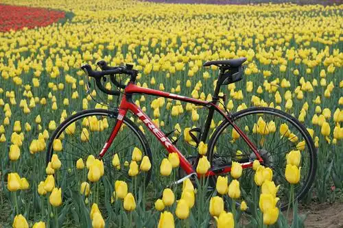 2019年,我在骑行和徒步中拍到万余张风景图片.