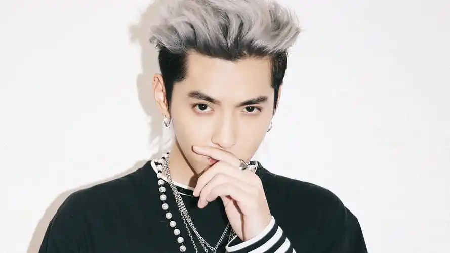 内地明星 吴亦凡 明星风尚壁纸【12】