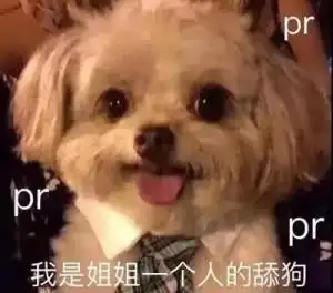 字母圈情感