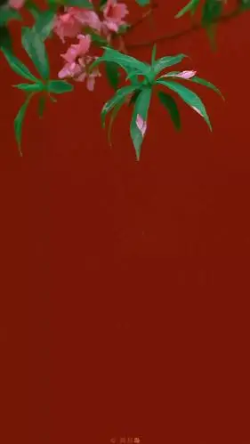 年初一中国红中国年