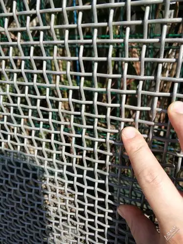 转让热镀锌钢丝网,可做围栏网