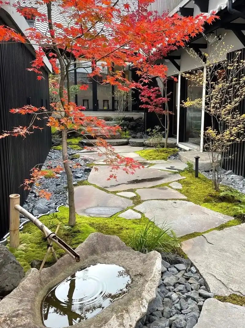 杂木庭院讲究自然野趣,纤细的乔木姿态妖 - 抖音