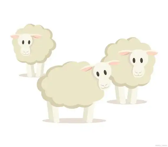 三只羊网络招聘需要什么学历