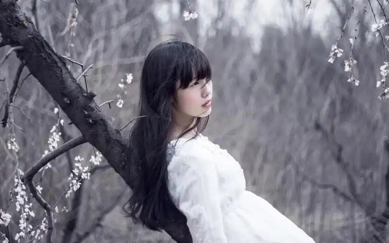 小清新森系女生唯美壁纸图片