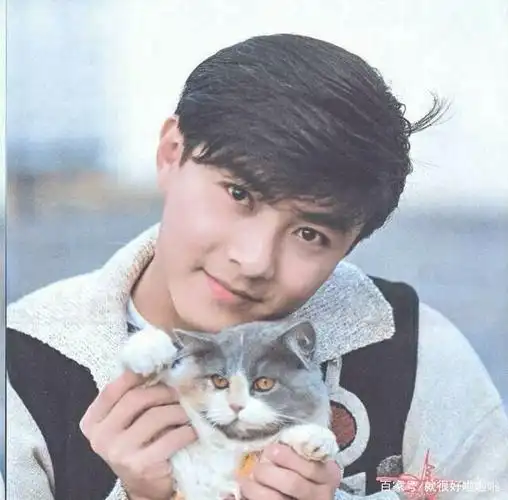 有头发的张卫健有多帅?你看看