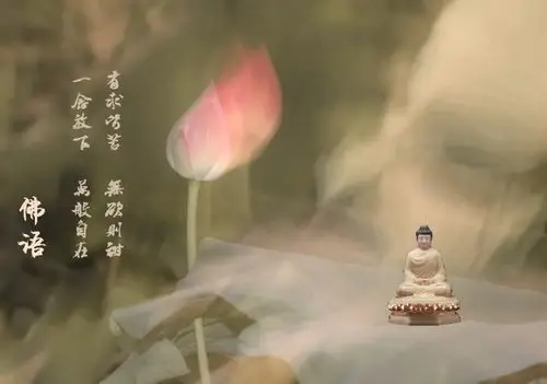 化作佛前莲花一朵