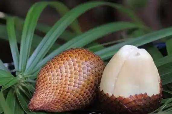 水果名字大全集100种50种罕见水果