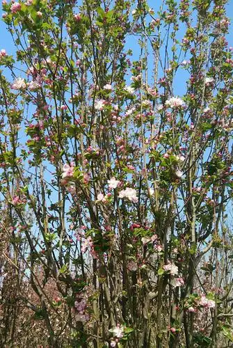 闲庭信步的美篇 - 美篇