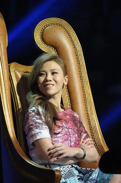 蔡健雅在节目现场