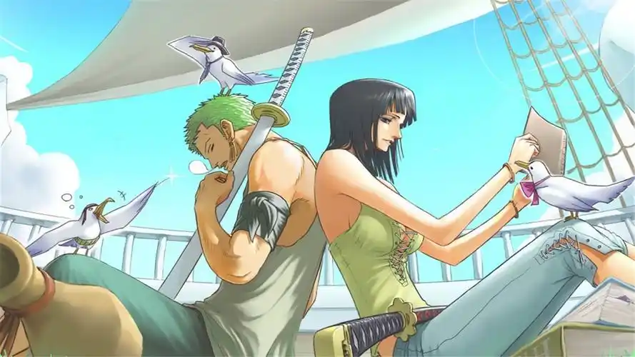 性感美女海贼王高清桌面壁纸