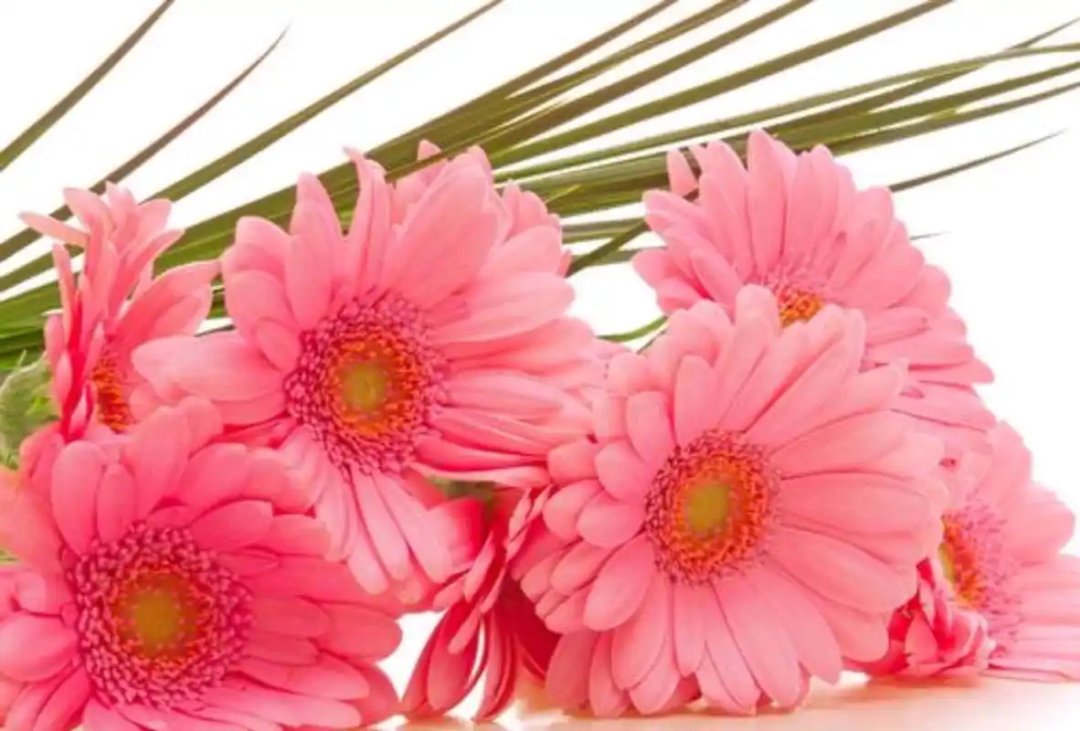 于你,一见倾心,再见痴情