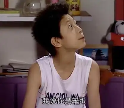 我说你是笨蛋(家有儿女刘星) - 热门表情包精选-2017/11/21_斗图表情