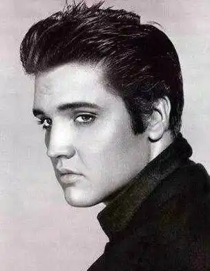 猫王外孙自杀 地点效仿猫王 猫王又是怎么死的(2)