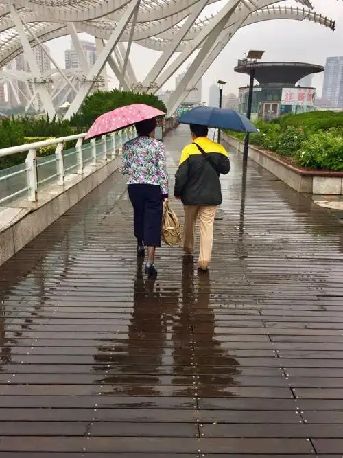 这是我们漫步的背影