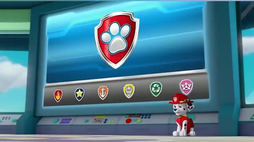 汪汪队立大功:毛毛终于是第一个到总部的狗狗,其他狗狗去哪里了