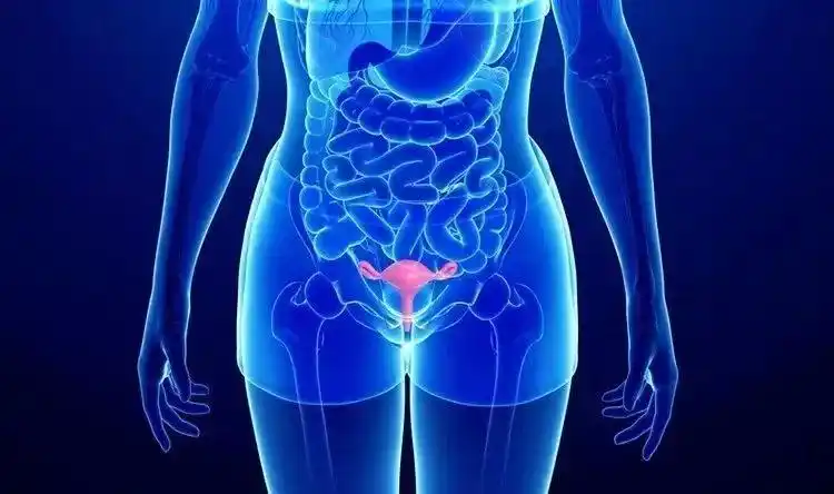 盆底肌康复的黄金时期有多重要?