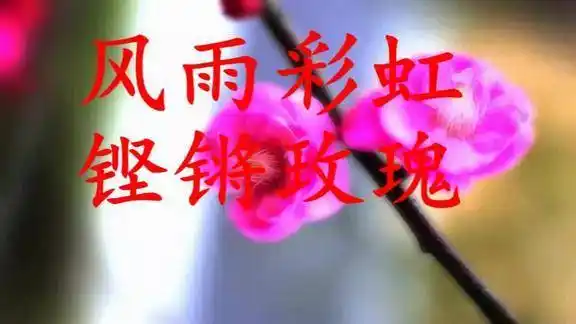 田震演唱《风雨彩虹 铿锵玫瑰》纵横四海 笑傲天涯 永不后退