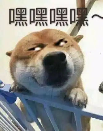 12月你好【#陪你压马路·上班交流群#】