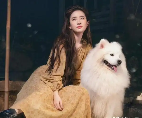 这样的绝世美男,她凭啥一下能合作5个?网友:就凭她是刘亦菲!