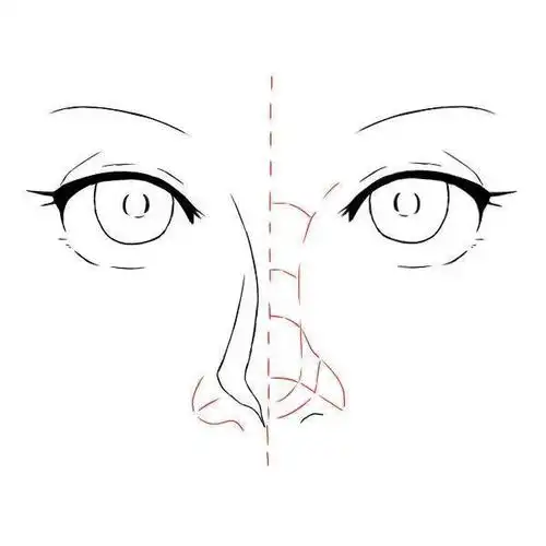 女生的鼻子该怎么画(女生鼻子怎么画简笔画)