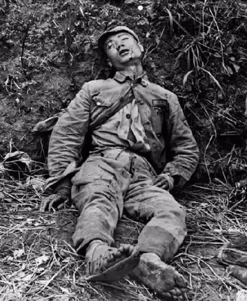 一组珍贵的历史老照片,带领我们回顾抗战的惨烈