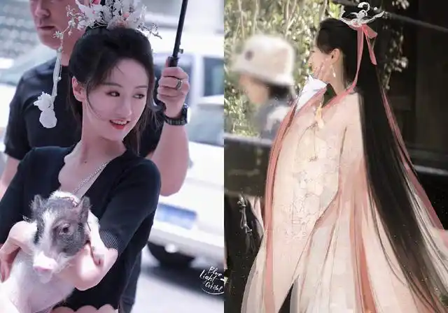 落花时节又逢君袁冰妍造型合集浅粉纱衣很灵动红色婚服惊艳