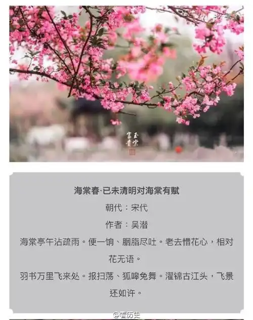 最美词牌名之海棠春海棠春此调始自秦观因词中有试问海棠花