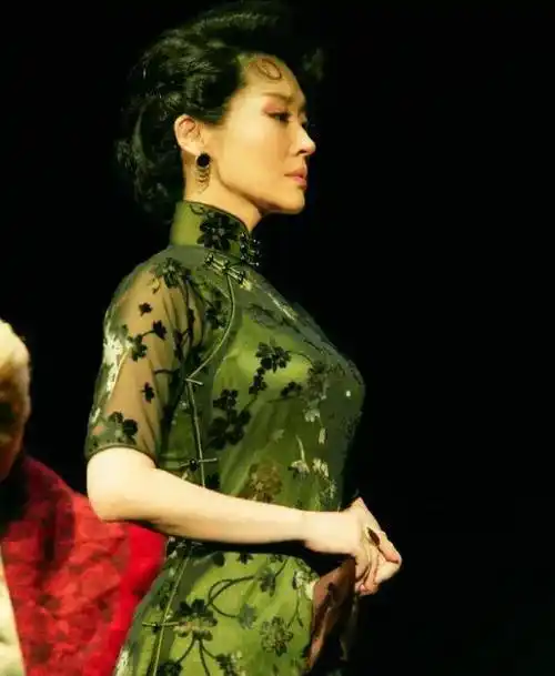 从张曼玉到袁泉,这8位"旗袍绝色"的女星,演绎经典"东方美"_时尚_陈数