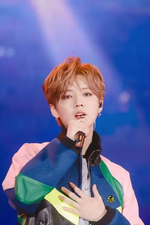 鹿晗二巡演唱会(北京场)