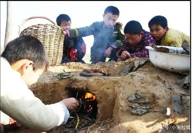小时候的周末是我们这帮农村孩子撒欢的时候,叫上小伙伴到田野里玩耍.