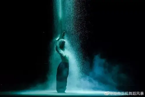 舞蹈风暴第12期,恭喜胡沈员现代舞《遇见》夺冠!