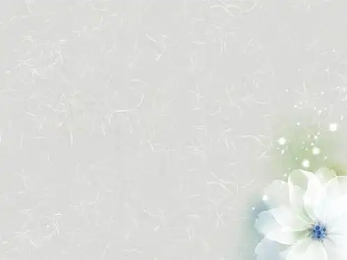 街机老虎机大全_灰蓝淡雅柔美花朵ppt背景图片下载 - suohoo.com