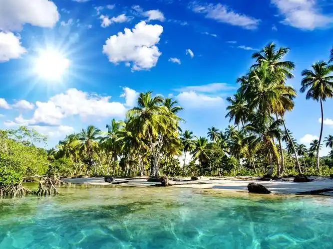 风景秀丽,热带,沙滩,棕榈树,大海,阳光 壁纸