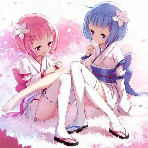 你丢的是这只雷姆呢还是这只拉姆呢