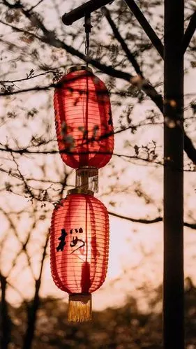 iphonex r xs max iphone11壁纸 锁屏壁纸 全面屏壁纸 聊天背景 卡通