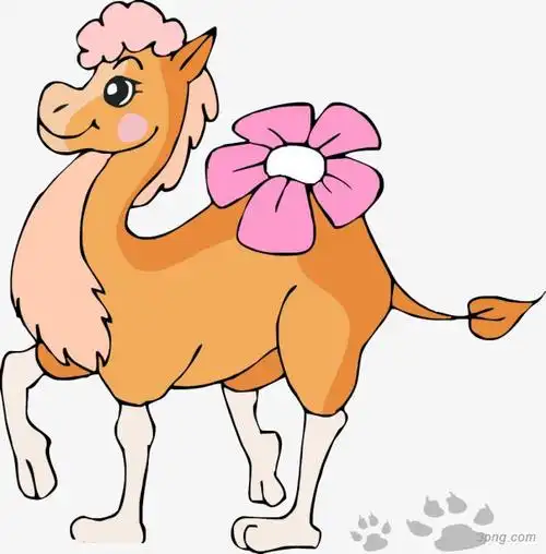 卡通动物png素材透明免抠图片动植人物