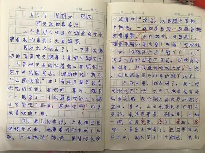 三年级日记优秀作品选(10)