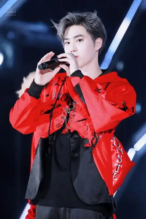 水源韩流演唱会 金俊绵 suho