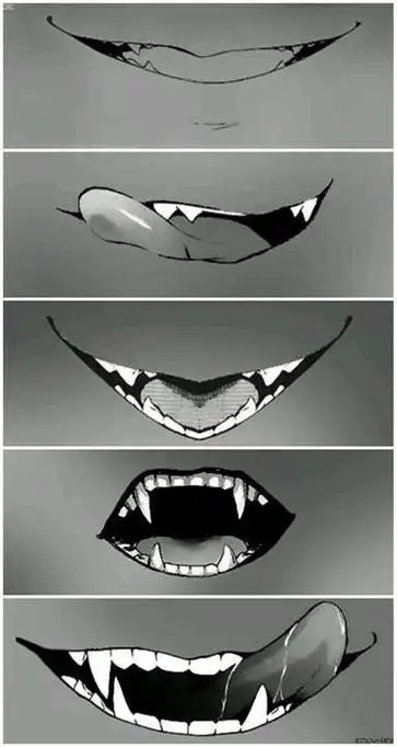 绘画参考牙齿素材