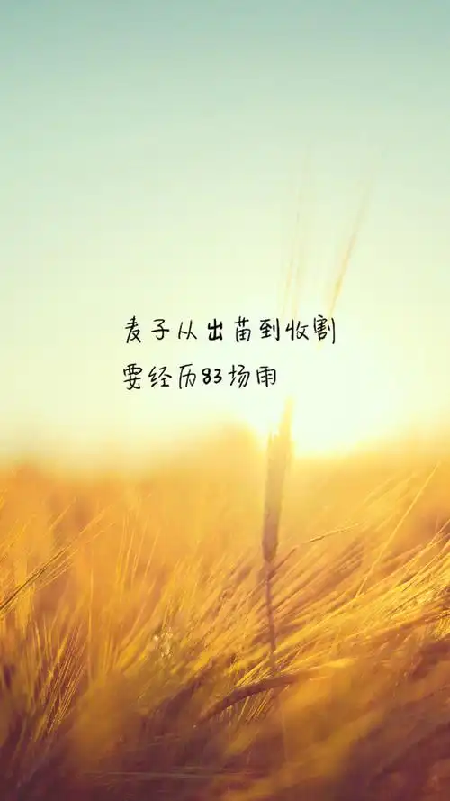 清新治愈系励志文字语录