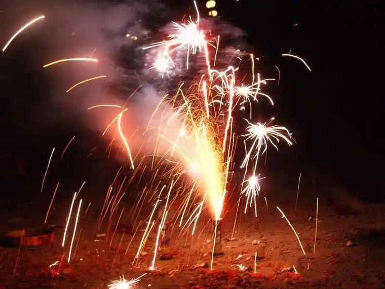 天南地北谈年味|地大人关于过年的一切