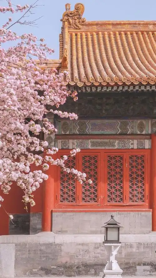 故宫一角绝美浪漫风景写真