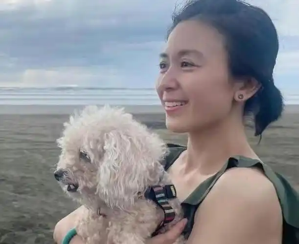 回顾八零后女星婚姻状况:唐宁离婚后移居国外,海陆