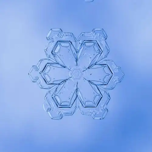 雪花飘飘...(4) - 美篇