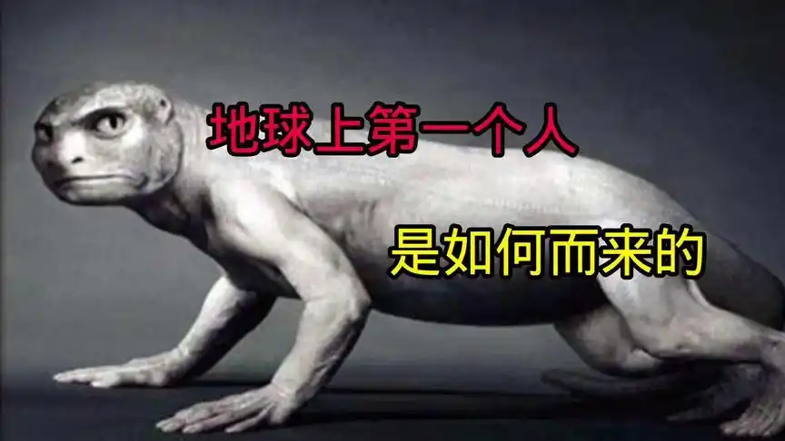 热门 地球上第一个人是如何而来的#科普 #人类祖先 #涨知识