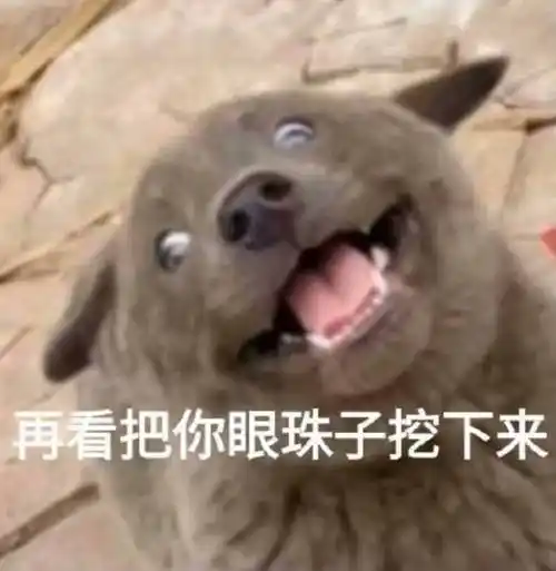再看把你眼珠子挖下来 汪星人表情包