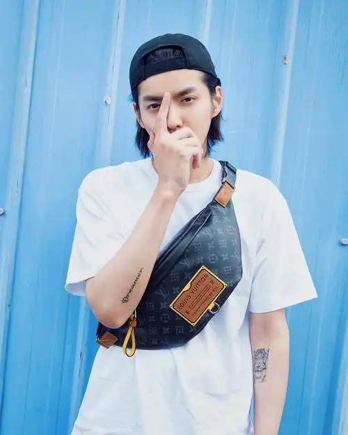 品牌代言人吴亦凡演绎路易威登全新gastonlabels系列包袋