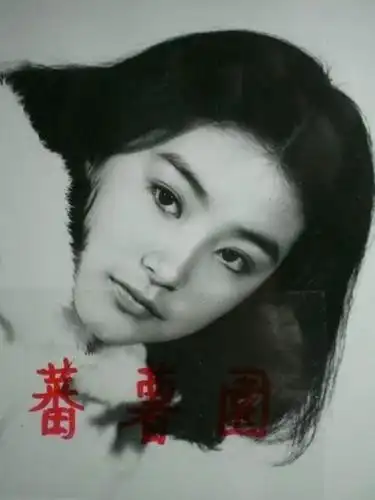 张曼玉林青霞钟楚红 港台电影十大女神[组图]